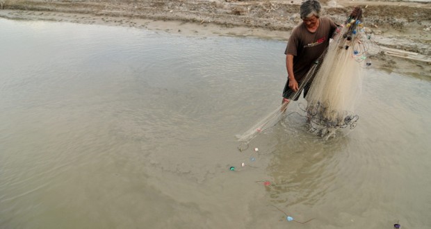 komoditas bawal dan nila dikembangkan di pandeglang komoditas bawal dan nila dikembangkan di pandeglang