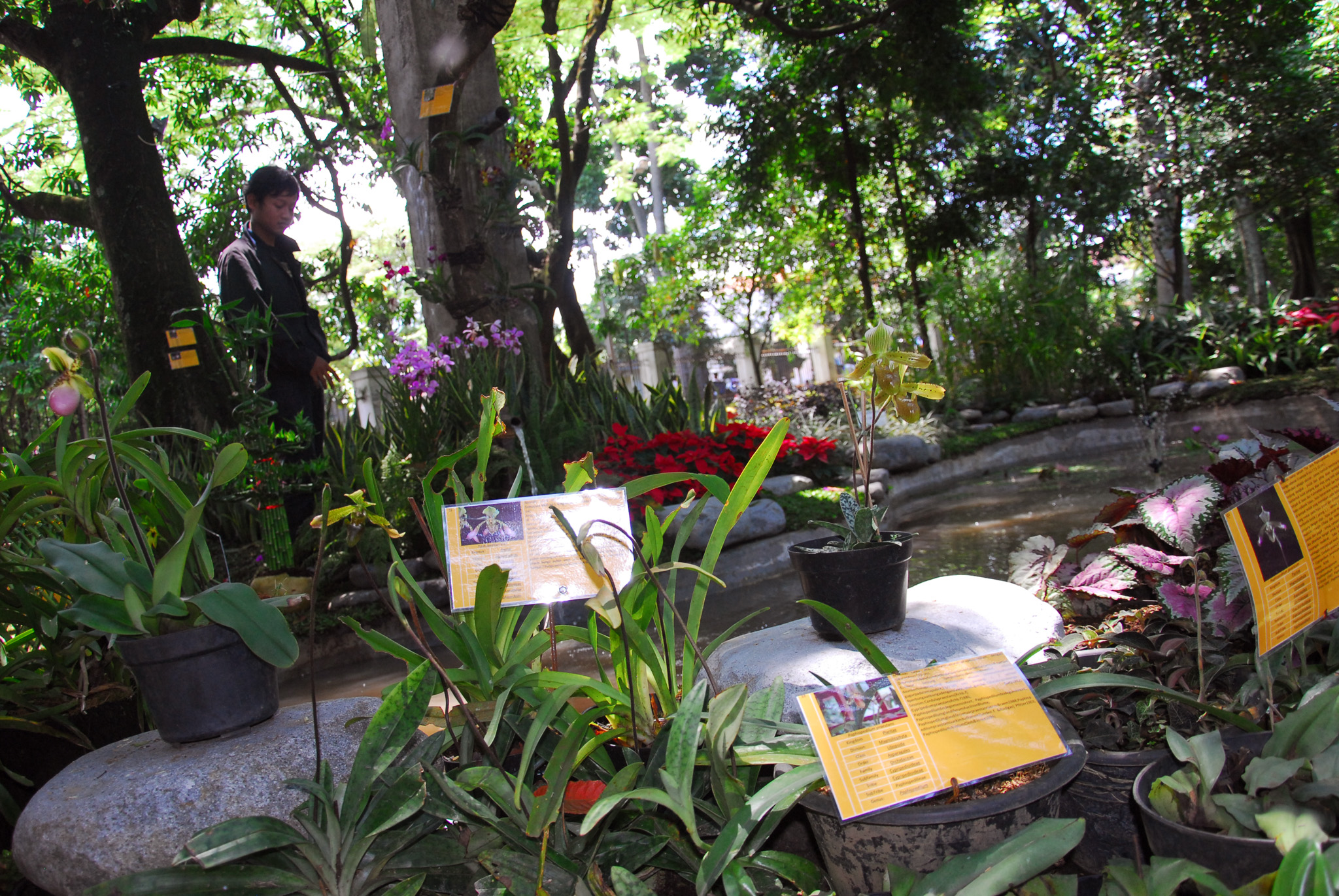 Taman Pustaka Bunga Cilaki Bandung Jawa Barat Berita Daerah Taman Pustaka Bunga Cilaki Bandung Jawa Barat Berita Daerah