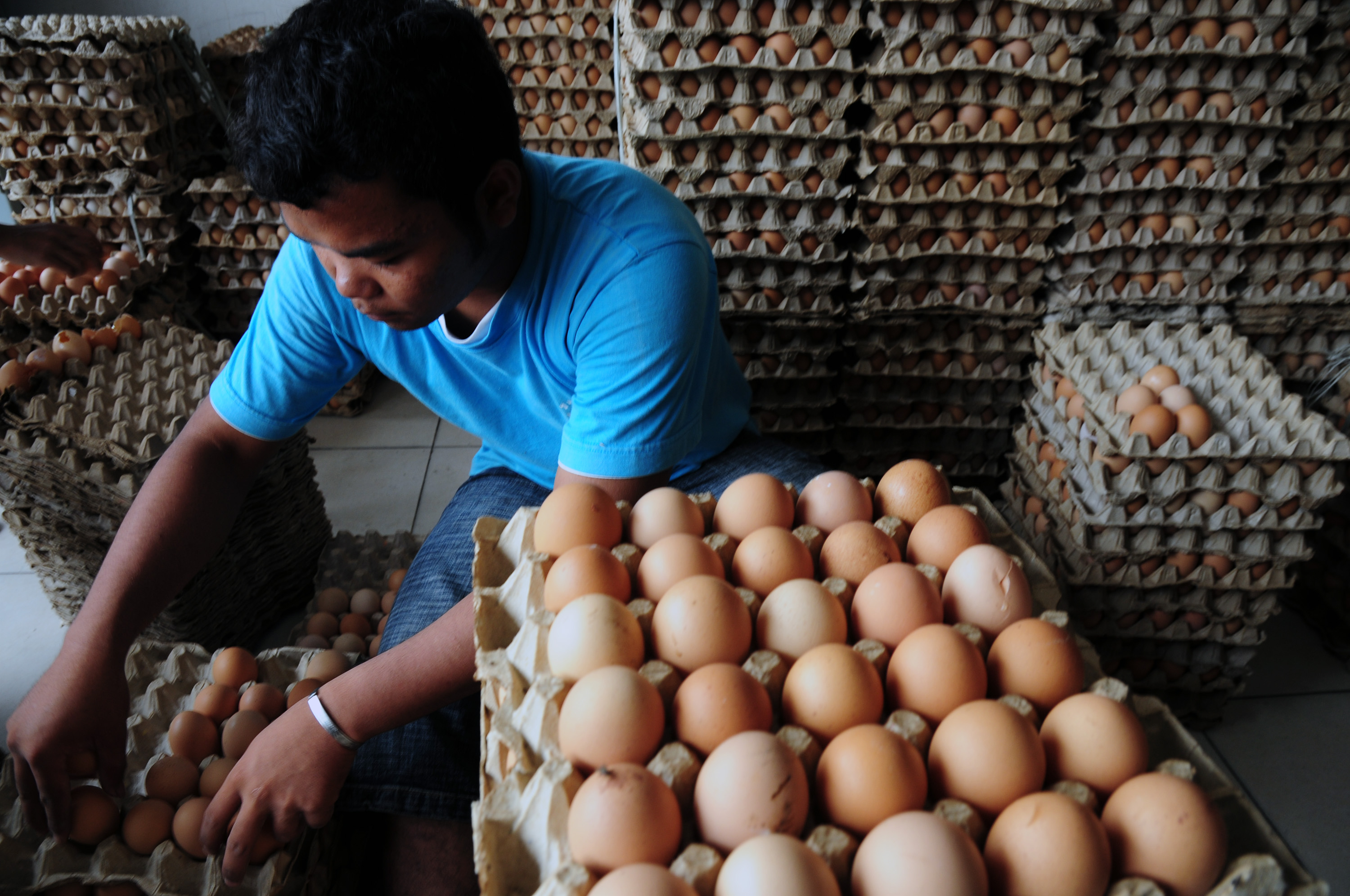 Hasil gambar untuk pedagang telur