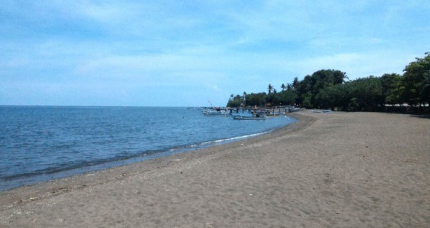 Pemandangan Bawah Laut yang Menakjubkan dalam Buleleng Bali Dive Festival 2016