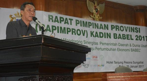 Kadin Mendorong Proses Transformasi Perekonomian yang Semula Berbasis Pertambangan