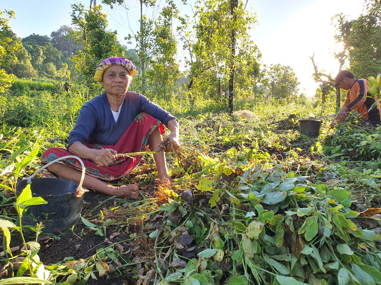 Menggali Potensi Desa Wisata Campaga Sulawesi Selatan Berita Daerah