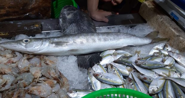  Ikan Segar  Selalu Dicari Pembeli di Pasar Green Lake 