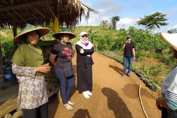 Desa Wisata Hanjeli fokus Ketahanan Pangan