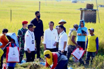 Panen Serentak Menghadapi Kemarau Panjang