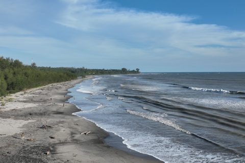 Pantai batu kumbang